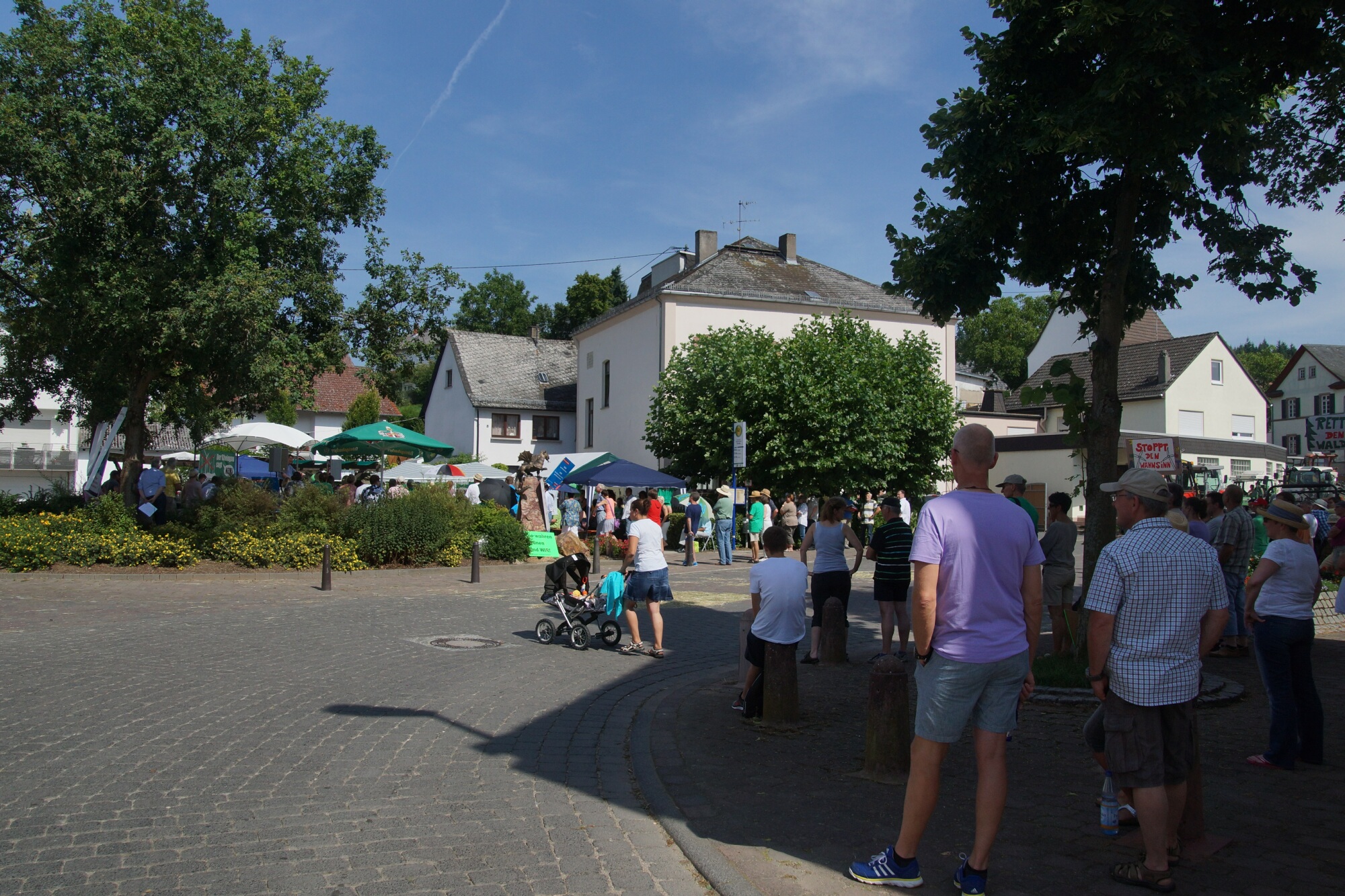 Stephanshausen DEMO Windwahn-20140719DSC08255.jpg